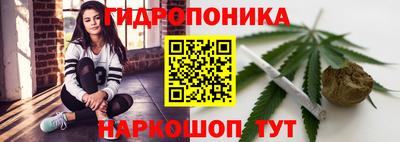 сатива Анжеро-Судженск