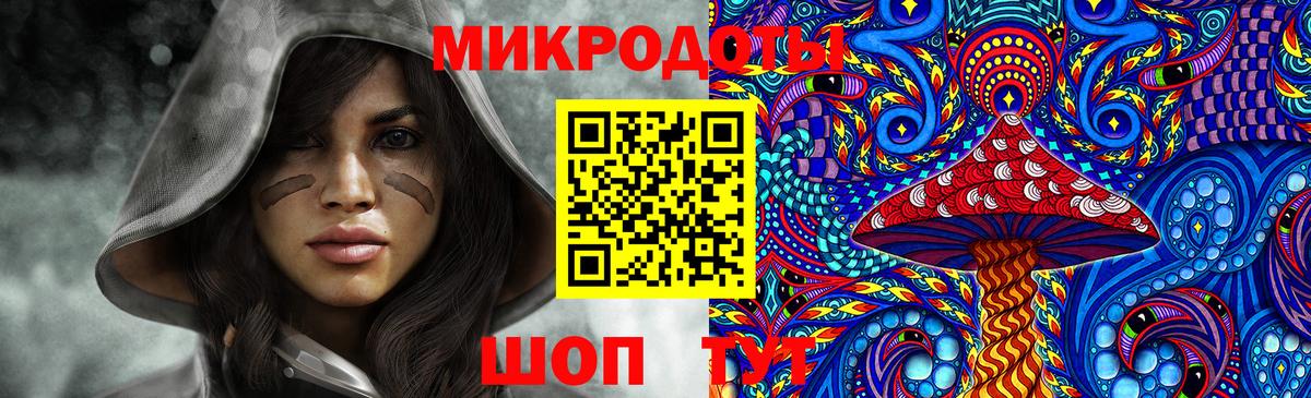 Псилоцибиновые грибы Psilocybe  Псилоцибиновые грибы прущие грибы  Вход с VPN  Богородск 